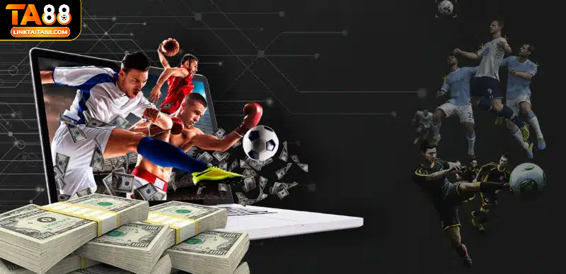 Người chơi thực hiện theo hướng dẫn để tham gia cá cược tại sảnh thể thao của TA88